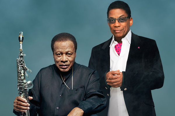 herbie hancock and wayne shorter