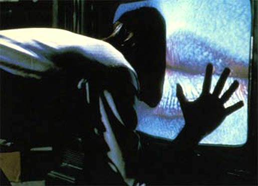 tv-kiss